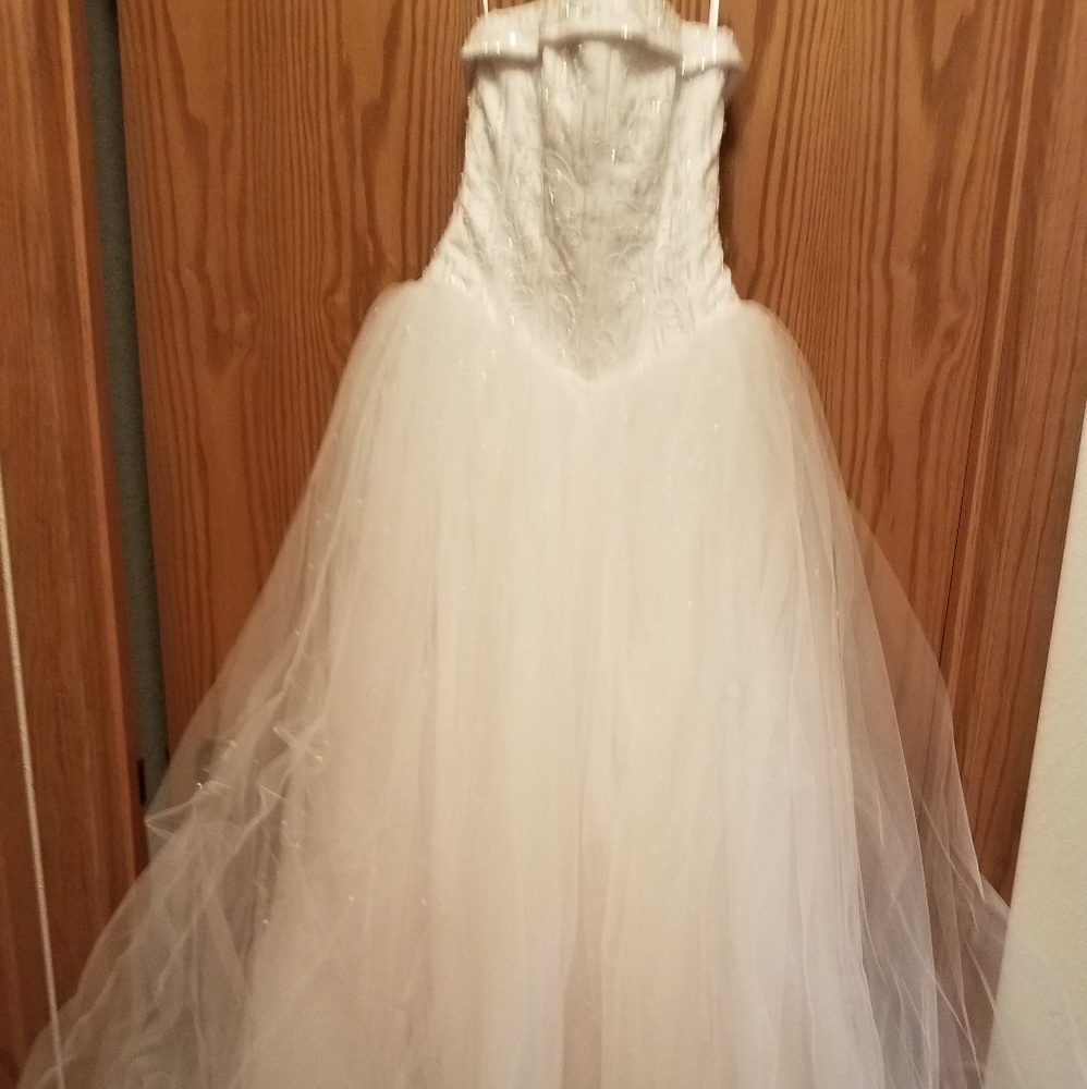 Prom/Pageant/Wedding Gown